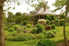 Wayne's Personal Gardens in Morell