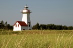 Lighthouse and Field